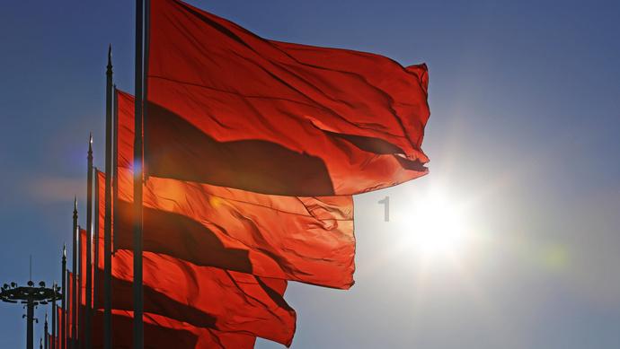 解救金刚鹦鹉